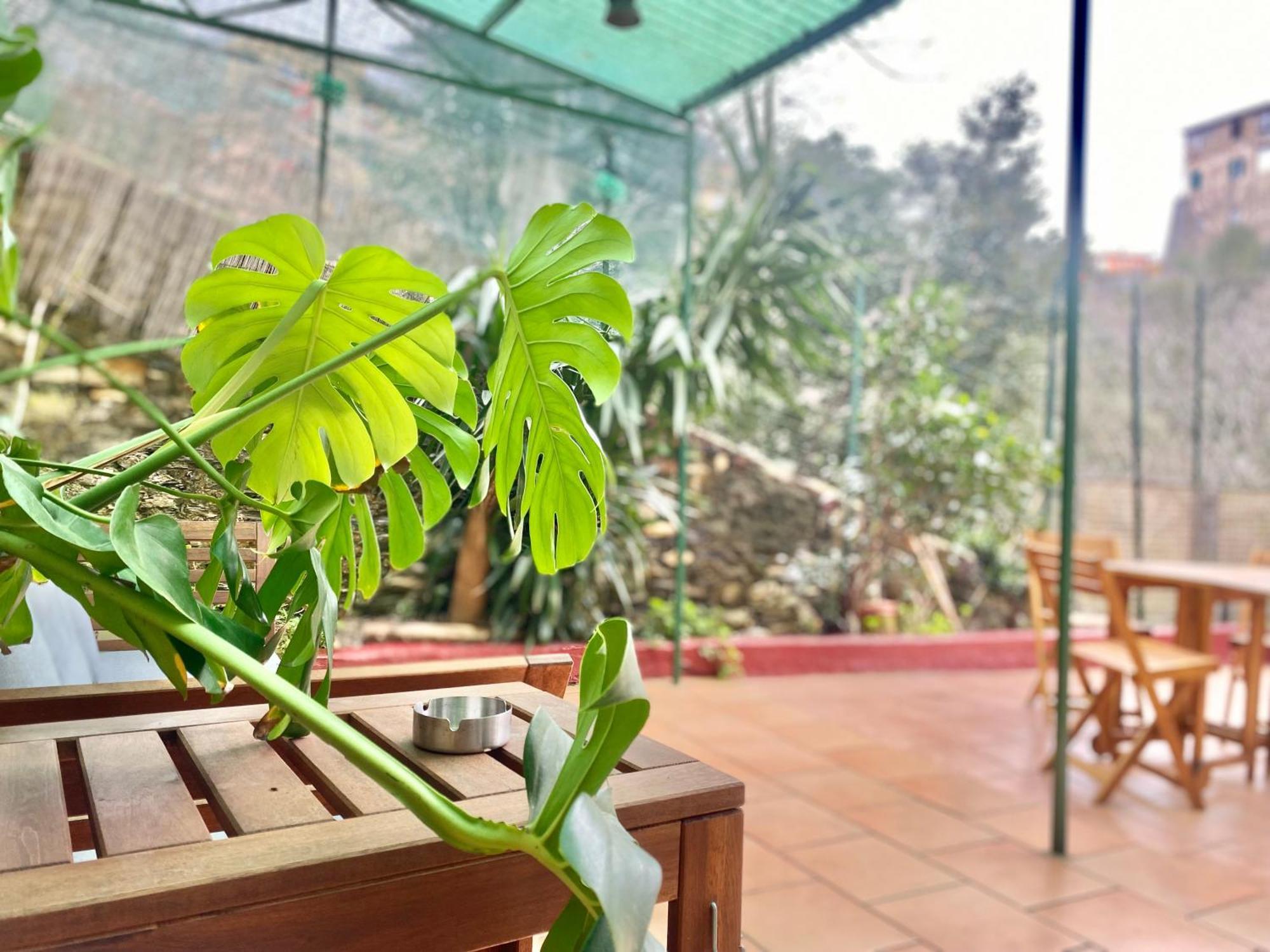 Casaviva - Bilo With Patio In Genova San Teodoro Lejlighed Eksteriør billede